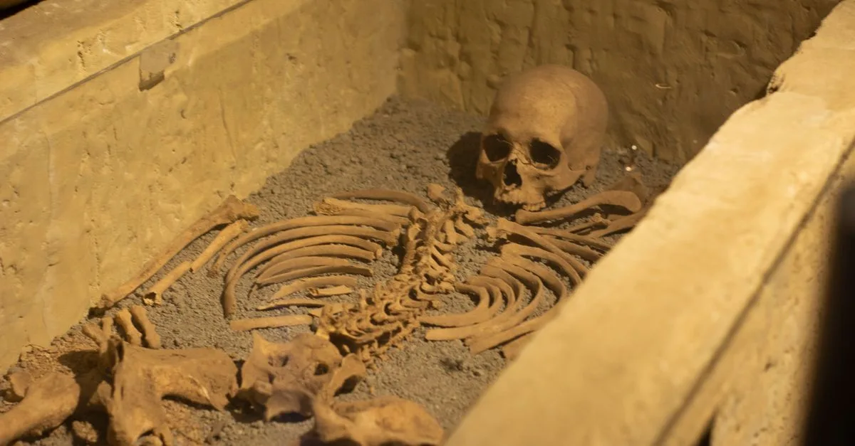 Fosil Neandertal di Irak Tunjukkan Bukti Kekerasan dan Perawatan Sosial