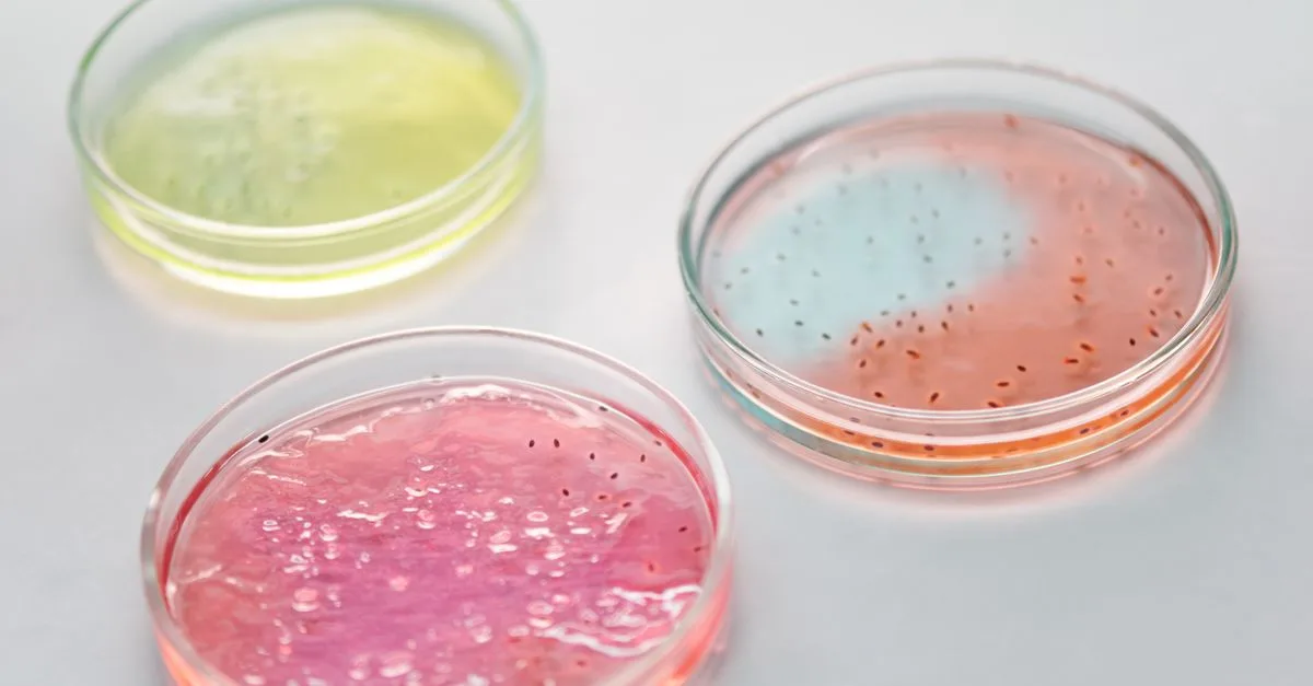 Startup Kembangkan Organoid Usus Manusia untuk Uji Obat yang Lebih Akurat