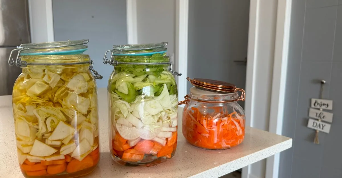 Bakteri Kimchi Ikat 57 Persen Nanoplastik Di Usus Dan Gandakan Pembuangannya