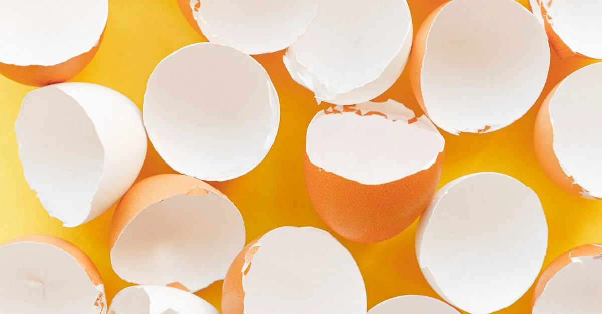Cangkang Telur Dipakai untuk Produksi Paduan Magnesium Ramah Lingkungan dan Kuat