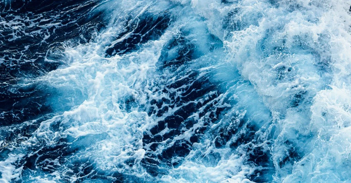 Udang Laut Ubah Arah Aliran Energi dalam Turbulensi Dua Dimensi secara Inovatif