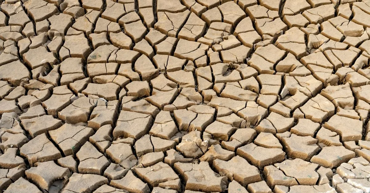 El Niño Memicu Cuaca Ekstrem, Tantang Sektor Pertanian Dan Perekonomian Global